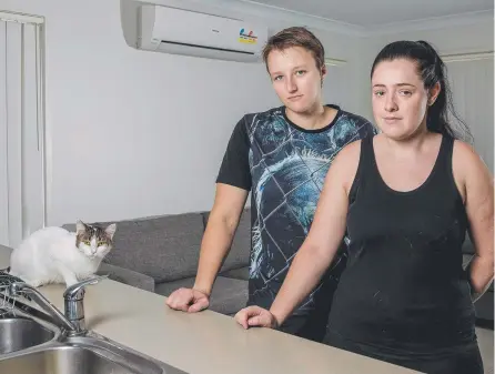  ?? Picture: JERAD WILLIAMS ?? Devastated couple Sarah and Courtney Spiller with their sole surviving cat Trixie after three of their pets — kittens Milo and Frankie and 11-month-old Mojo (below) were killed in their Pimpama home and laid out on the couch.