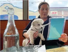  ?? ?? Ilana Minkoff checks out the menu with her dog Jojo Wigglebutt at a restaurant in San Francisco. Just in time for the summer dining season, the U.S. government has given its blessing to restaurant­s that want to allow pet dogs in their outdoor spaces. (AP Photo/haven Daley)