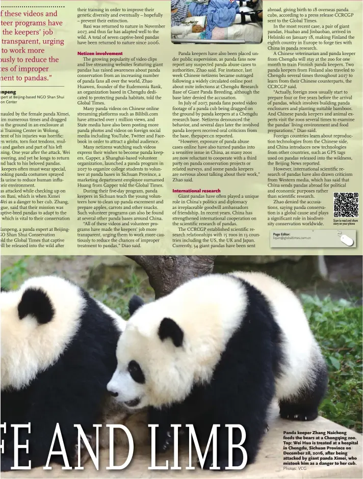  ?? Photos: VCG ?? Panda keeper Zhang Naicheng feeds the bears at a Chongqing zoo. Top: Wei Hua is treated at a hospital in Chengdu, Sichuan Province on December 28, 2016, after being attacked by giant panda Ximei, who mistook him as a danger to her cub.