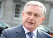  ??  ?? Labour Party leader Brendan Howlin has raised Jonathan Leech’s issue in the Dáil.