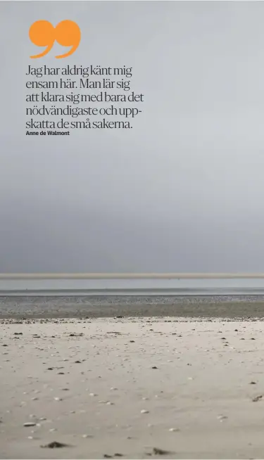  ??  ?? Varje dag går Anne de Walmont ner till stranden för att studera fåglarna och spana in vad havet har spolat iland.