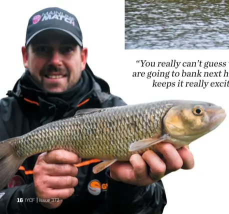  ??  ?? ABOVE: With the elastic at full stretch, Will was convinced he’d hooked a carp…
LEFT: ... but this decent chub was the culprit after falling for his worm hookbait
RIGHT TOP: A couple of small groundbait balls kick started the swim
RIGHT BOTTOM: Maggots, casters and chopped worm were blended with the groundbait