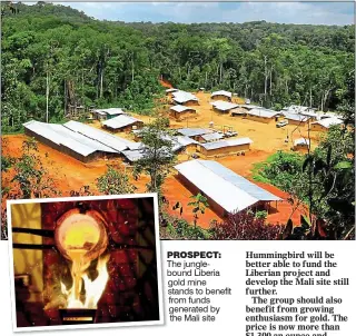  ??  ?? PROSPECT: The jungleboun­d Liberia gold mine stands to benefit from funds generated by the Mali site