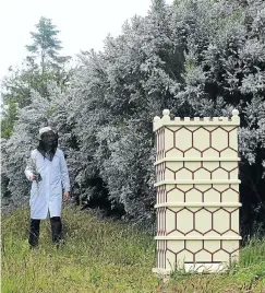  ?? Picture: Barry Batchelor/Getty Images ?? A beekeeper checks the hives for the production of Tregothnan Manuka Honey at Tregothnan Estate in Cornwall, which is producing the UK’s first manuka honey.