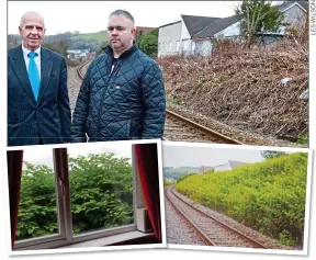  ??  ?? VICTORY: Robin Waistell, top left, and Stephen Williams at the trackside near their homes. In summer, the same area (above right) is covered with knotweed, which dies back in winter. Above left: The plant blocking light from one of their windows