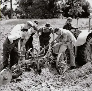  ??  ?? Conscienti­ous objectors in Britain during the Second World War attend a labour training scheme run by the Ministry of Agricultur­e