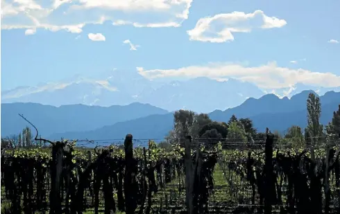  ?? JODI YEATS ?? A classic view of Mendoza vineyards and the Andes beyond.