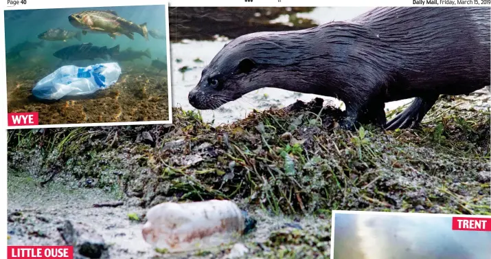  ??  ?? A plastic bottle blights this riverside scene of a lone otter while, inset, trout swim by an abandoned bag