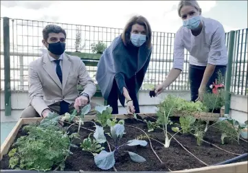  ??  ?? « En ce moment, nous avons des légumes d’hiver : des blettes, des choux, des épinards, du fenouil, du romarin et encore des potirons », égrène Jessica Sbaraglia. (Photo A.C.)