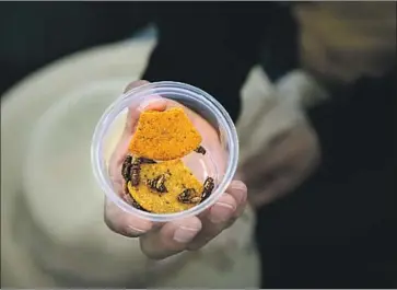  ?? Julia Sclafani Daily Pilot ?? A VISITOR to the Orange County Fair holds a sample cup containing corn chips made with crickets.