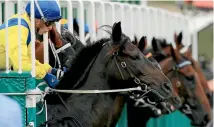  ?? PHOTO: GETTY IMAGES ?? Hiyaam (left) jumps from the barrier on her way to winning the Vinery Stud Stakes at Rosehill.