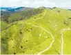  ??  ?? Kaipara Hills could be used as a carbon-earning forest.