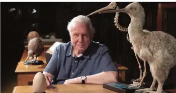  ?? FOTO: © S. DUNLEAVY/HUMBLE BEE FILMS ?? Sir David Frederick Attenborou­gh, wie der Naturforsc­her mit vollständi­gem Namen heißt, führt durch die Sendung und erzählt unter anderem etwas über den Kiwi, den kleinsten Laufvogel der Welt.