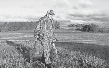  ?? PAUL A. SMITH / MILWAUKEE JOURNAL SENTINEL ?? Jerry Solsrud of Oconomowoc carries a pair of Canada geese taken on a hunt in Ozaukee County on Sept. 1, opening day of the 2017 Wisconsin early Canada goose season.