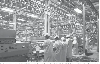  ?? NATI HARNIK/AP ?? Workers process chickens during 2019, at the Lincoln Premium Poultry plant, Costco Wholesale’s dedicated poultry supplier, in Fremont, Neb. U.S. Census highlighte­d a severe worker shortage prompting calls from farm and ranching groups for immigratio­n reform.