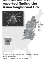  ??  ?? Nine states have reported finding the Asian longhorned tick: