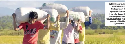  ??  ?? FARMERS carry sacks of harvested rice. The Department of Agricultur­e said that it may miss its output growth target of 3-5% for 2016 due to late-year damage inflicted by Typhoon Nina.