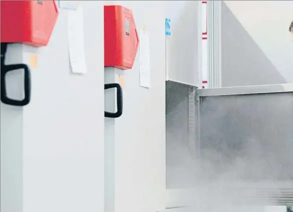  ??  ?? Una empresa alemana ya está fabricando los ultraconge­ladores para conservar las vacunas