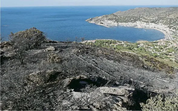  ?? PERE DURAN / NORD MEDIA ?? El Port de la Selva va ser el municipi més afectat pel foc: les flames van devorar gairebé 300 hectàrees