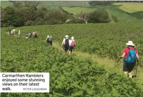 ?? PETER LOUGHRAN ?? Carmarthen Ramblers enjoyed some stunning views on their latest walk.