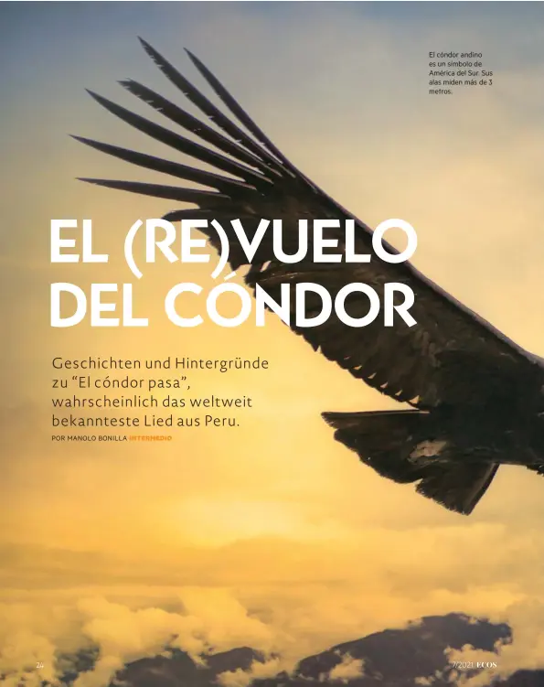  ??  ?? El cóndor andino es un símbolo de América del Sur. Sus alas miden más de 3 metros.