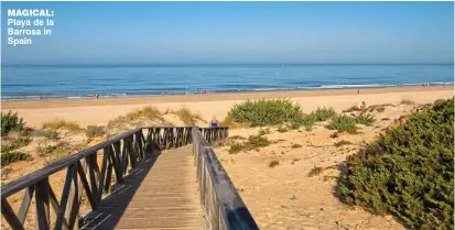  ??  ?? magical: Playa de la Barrosa in Spain