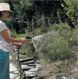  ?? LEE REICH/AP ?? Watering with a hose end sprayer is satisfying to the gardener, but other methods of watering are much more effective in getting enough water into the ground to benefit plants.