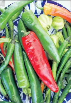  ??  ?? A variety of chilli products, including a variety of fresh chillies from farmers, will be on sale and for those brave enough to take on the heat, a chilli tasting competitio­n will be held with some great prizes up for grabs.