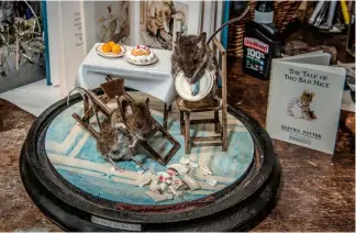  ??  ?? Anthropomo­rphic taxidermy scenes loved by the Victorians are echoed using Beatrix Potter mice
