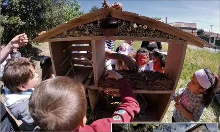  ?? ?? Un hôtel à insectes, comme ici dans le Var à Régusse, sera installé dans les écoles des Brusquets, Lanza, Teisseire et Pennac.