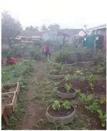  ??  ?? With gardening forming part of the various projects at the home, the children learn how to plant vegetables.