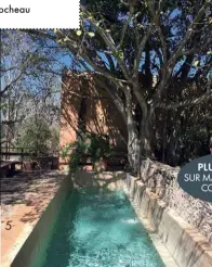  ??  ?? Hacienda Ochil est un hôtel perdu, près de Méridaau Mexique, plein de surprises, dont sa petite piscine où l’on se baigne à l’abrides regards.5