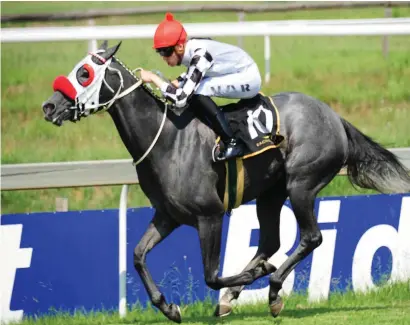  ?? Picture: JC Photograph­ics ?? BEST BET. Piere Strydom believes Frederico’s Dream has met stronger opposition than she will face in Race 7 at Turffontei­n tomorrow and makes her a banker in all bets.