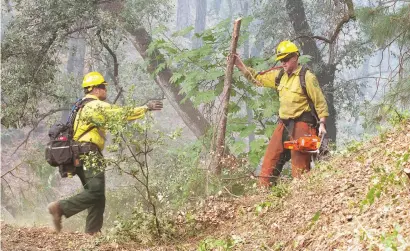  ?? Picture: Reuters ?? FIRE BREAK. US firefighte­rs clear brush to protect a house from a fire near Igo, California.