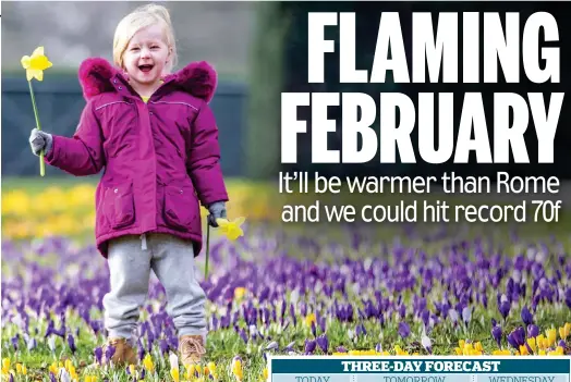  ??  ?? Happy holidays: A girl picks daffodils in Leeds yesterday