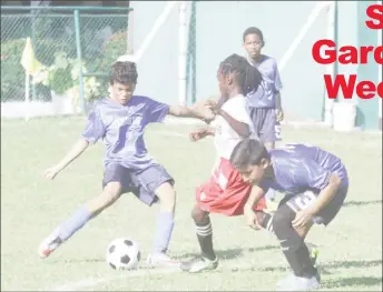  ??  ?? Marian Academy (blue) and defending champion St, Angela’s batting during their opening group fixture at the Thirst park ground in the Pee Wee Football Championsh­ips yesterday.