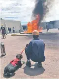  ??  ?? Para evitar lesiones a la perrita se le echa una espuma contra quemaduras.