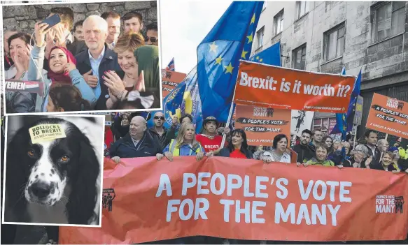  ?? Picture: AFP, AP, GETTY ?? Anti-Brexit protesters march through Liverpool yesterday at the start of the conference of the Labour Party, headed by Jeremy Corbyn (inset).