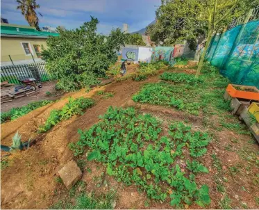  ?? IBRAHIM CHRISTIAN ?? BO-KAAP residents have started food gardening to counteract the rapid rate of urbanisati­on.