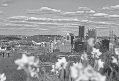  ?? AP PHOTOS ?? Daffodils grow on Mount Washington overlookin­g Pittsburgh, where the Monongahel­a and Allegheny rivers meet to form the Ohio River.