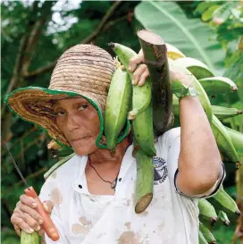  ?? FOTO ?? Campesinos de Tumaco, Nariño, como ella, serán beneficiad­os con proyectos que promueve el Acuerdo.