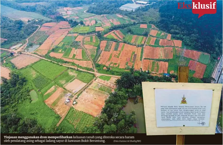  ?? (Foto Zunnur Al Shafiq/bh) ?? Tinjauan menggunaka­n dron memperliha­tkan keluasan tanah yang diteroka secara haram oleh pendatang asing sebagai ladang sayur di kawasan Bukit Beruntung.