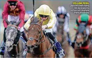  ?? ?? YELLOW PERIL Jack Mitchell riding Oh So Grand to victory at Lingfield Park yesterday