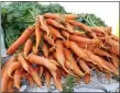  ?? MEDIANEWS GROUP FILE PHOTO ?? Shown are a bushel of carrots sold at a market. Vegetables and other plant-based food options require less carbon emissions and water to produce.