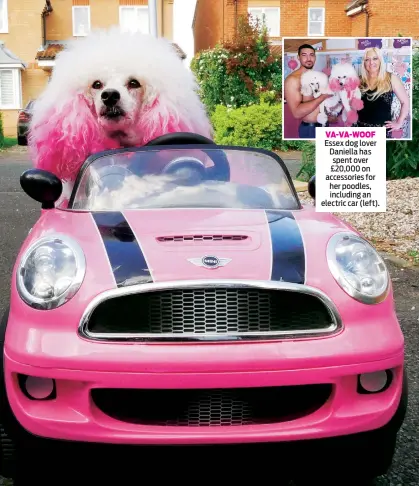  ??  ?? VA-VA-WOOF Essex dog lover Daniella has spent over £20,000 on accessorie­s for her poodles, including an electric car (left).