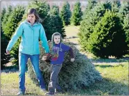  ??  ?? Kelsey helps Colton carry their tree at Geer Tree Farms on Nov. 24. “Colton you have to help me out, you’re the man here today,” Kelsey told her son. Picking out and cutting down the tree was normally up to Josh, and the kids were worried about finding...