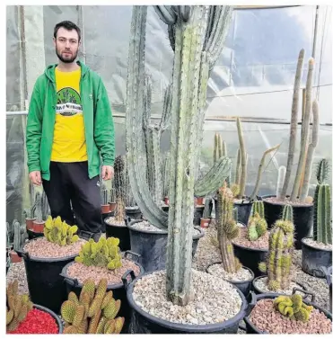  ?? ?? Pour se démarquer, Jessy met le paquet sur le visuel. Il associe ses cactus à des pots et des minéraux de couleur.