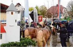  ?? Foto: Xaver Habermeier ?? Vom Regen ließen sie sich nicht abhalten: Reiter sowie Fiaker nahmen gestern am Le onhardiumz­ug in Laisacker teil.