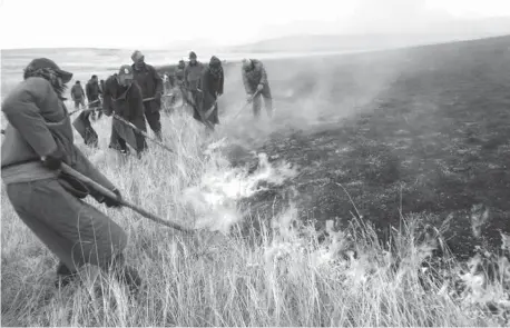  ??  ?? Volunteers trying to put out the wildfire in Erdenebulg­an soum, Khuvsgul Province