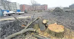  ?? BILD: Torsten von Reeken ?? 300 Millionen Euro investiert das Klinikum in Neubauten. Dafür mussten viele Bäume weichen.
